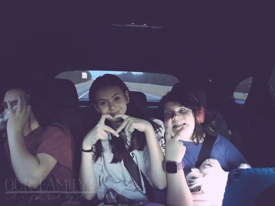 2017 Lexus RX 450h road trip