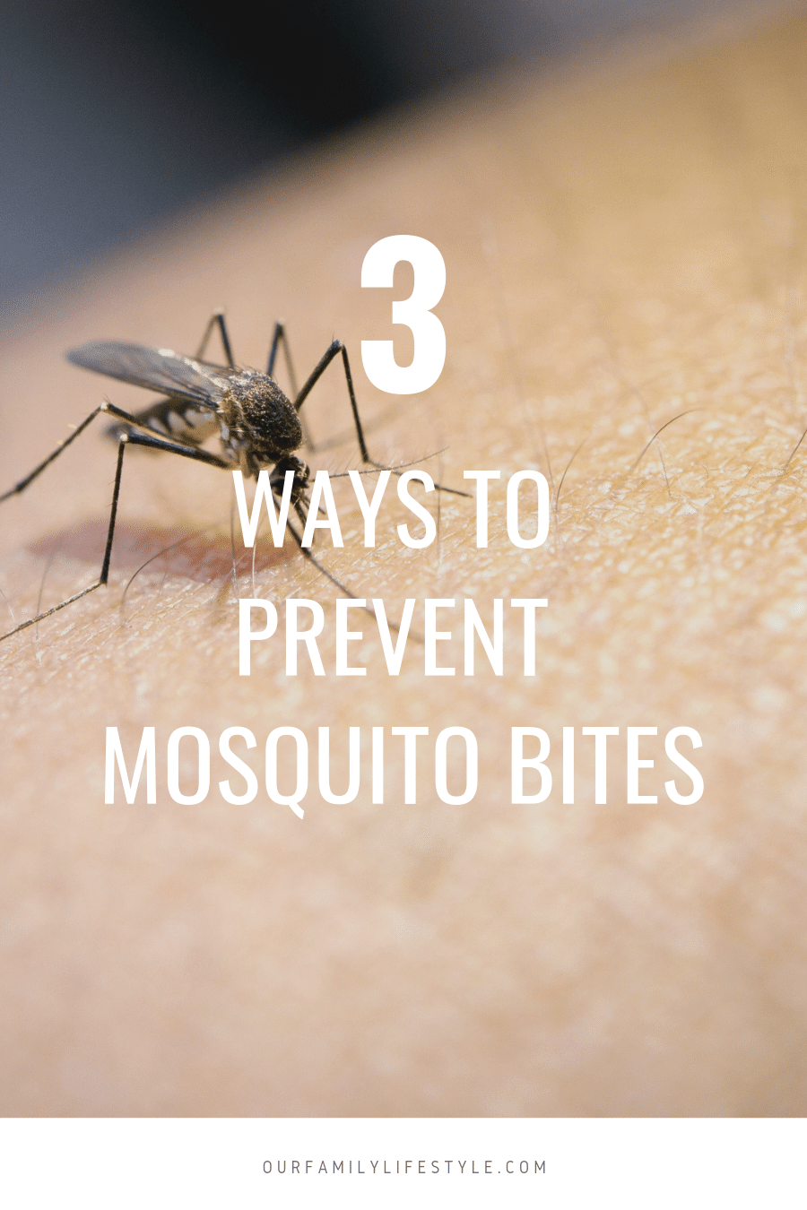Ways to Prevent Mosquito Bites