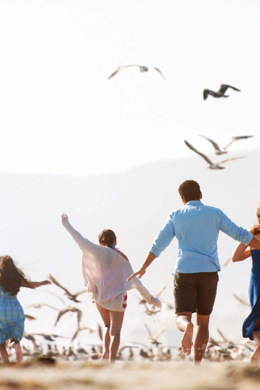 Family at the beach running with seagulls