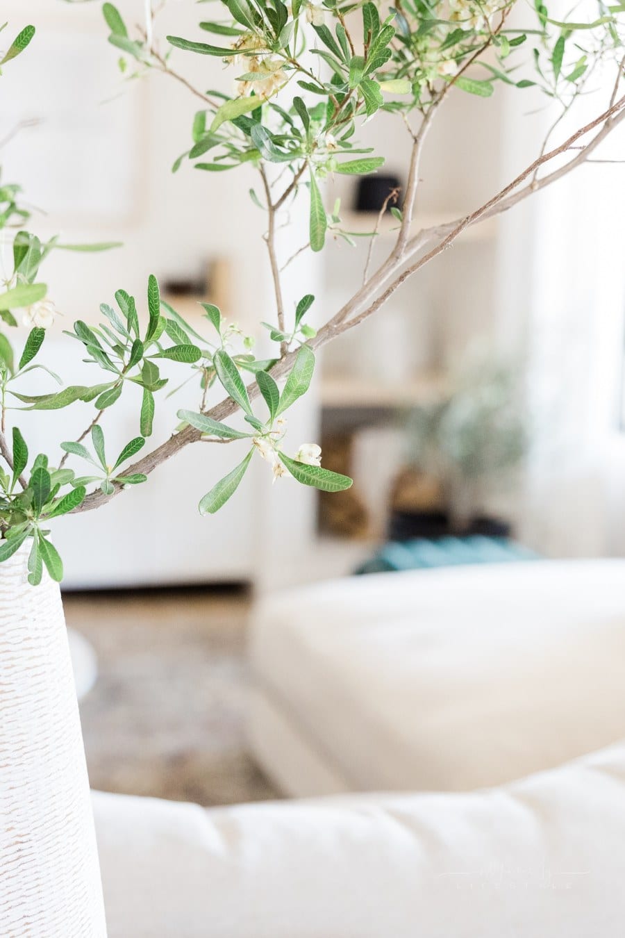 Modern House with wood flooring and natural lighting