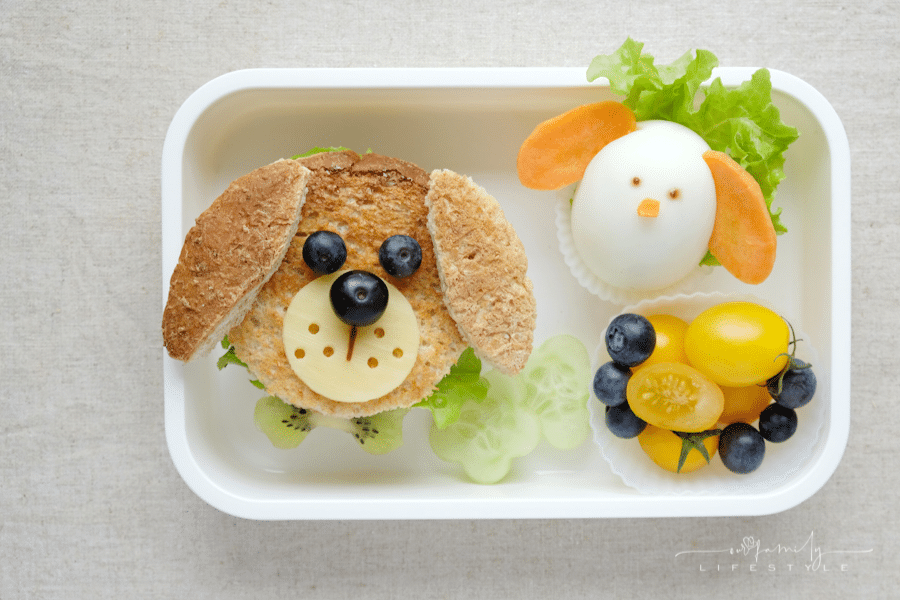 Top Daycare Lunch Box Ideas That Will Inspire Every Mom