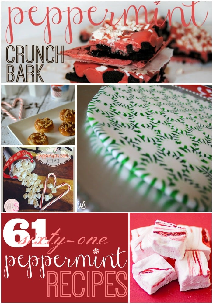 peppermint crunch bark 61 Peppermint recipes