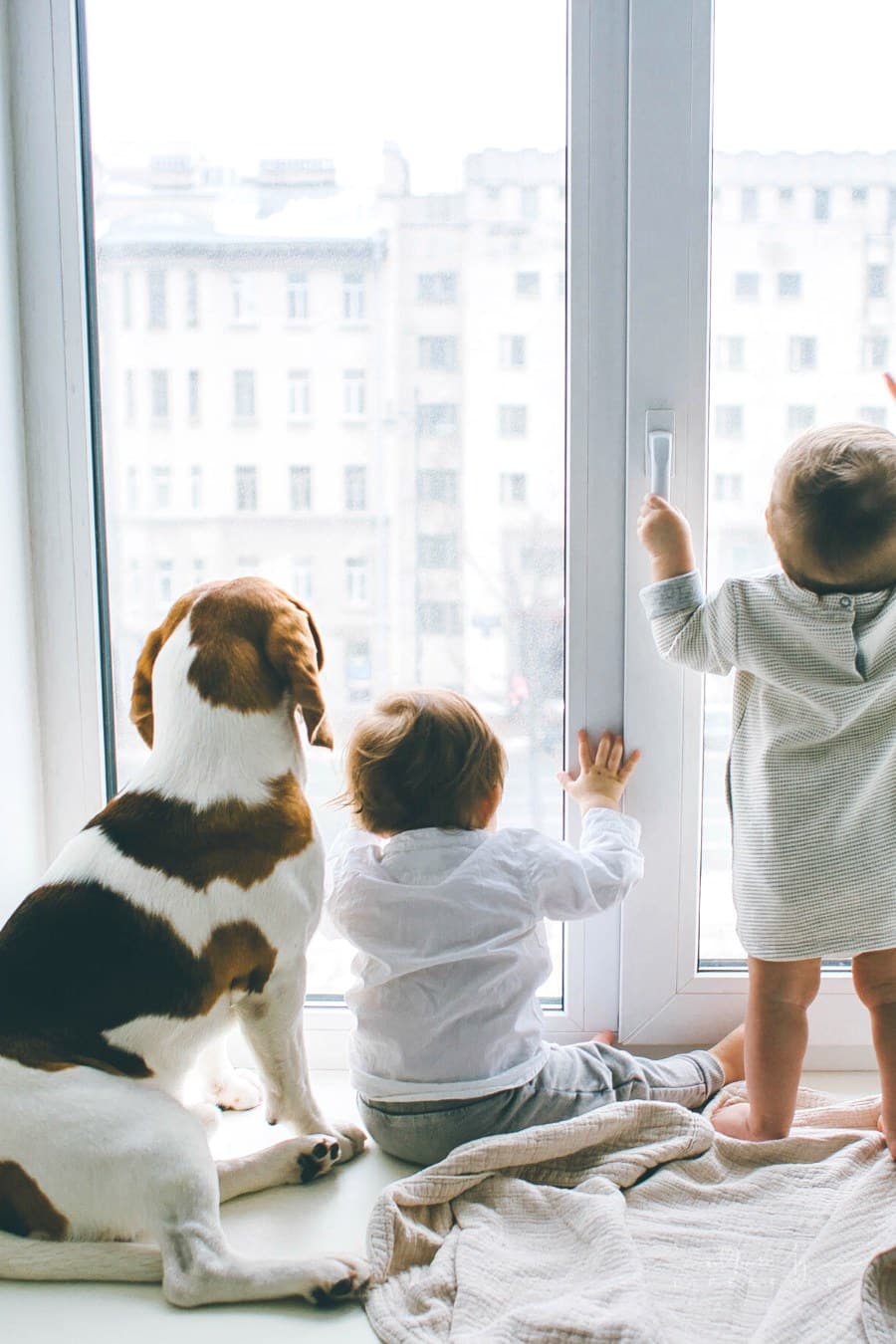 two toddlers looking out a window with their pet beagle nearby