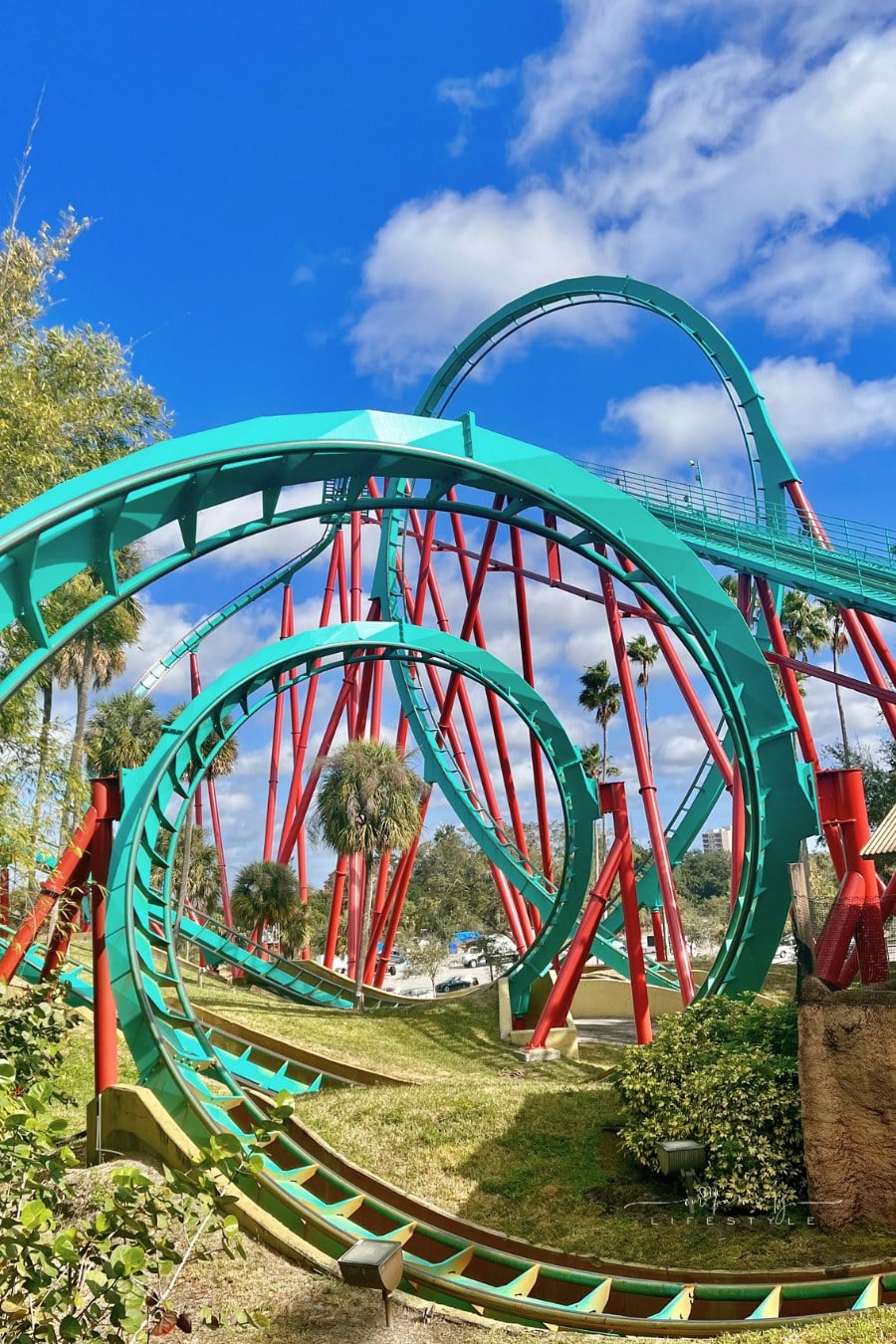 Kumba Roller Coaster at Busch Gardens in Tampa, Florida