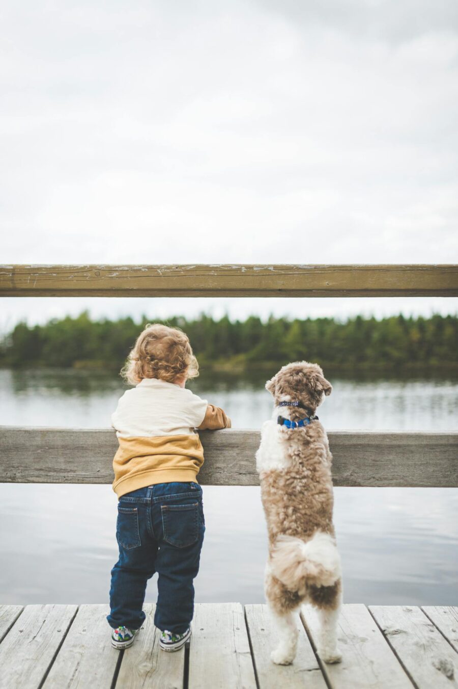 A toddler and a dog gaze at a tranquil lake while standing on a wooden dock, conveying companionship and curiosity.