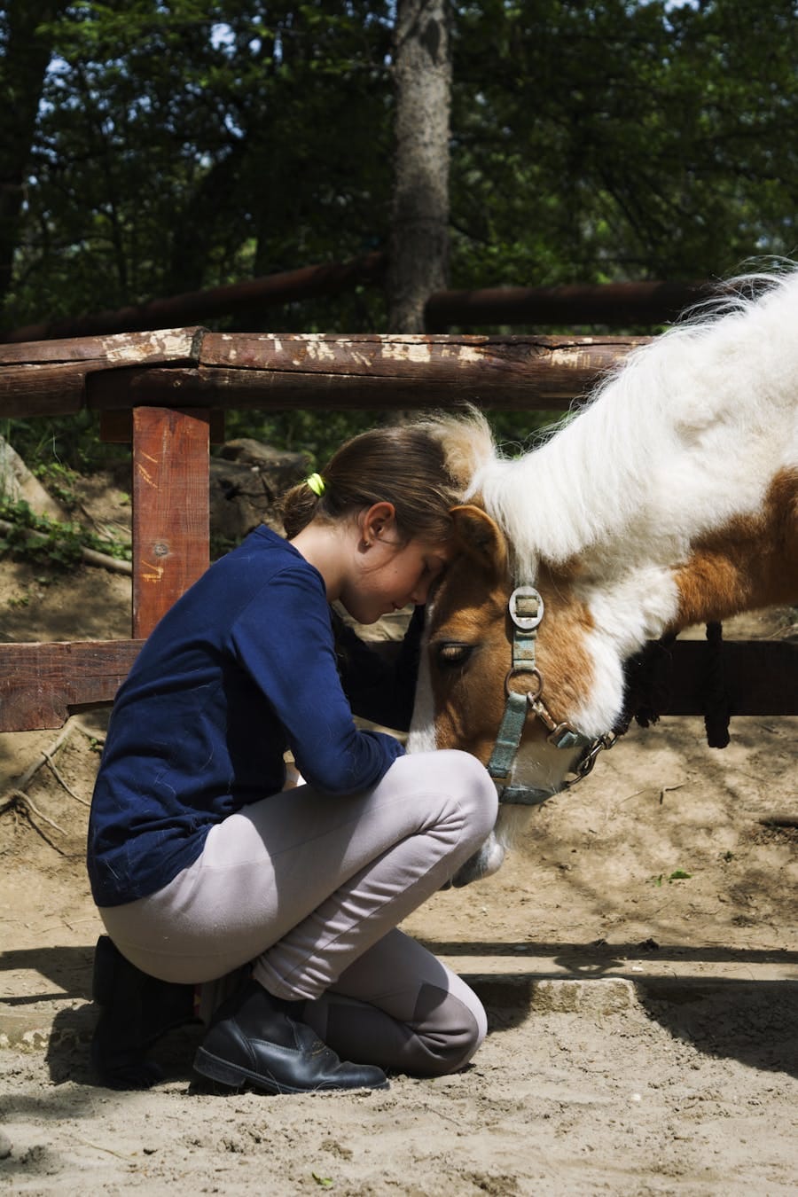 alt="A young girl lovingly interacts with a pony outdoors, showing a bond between human and animal."