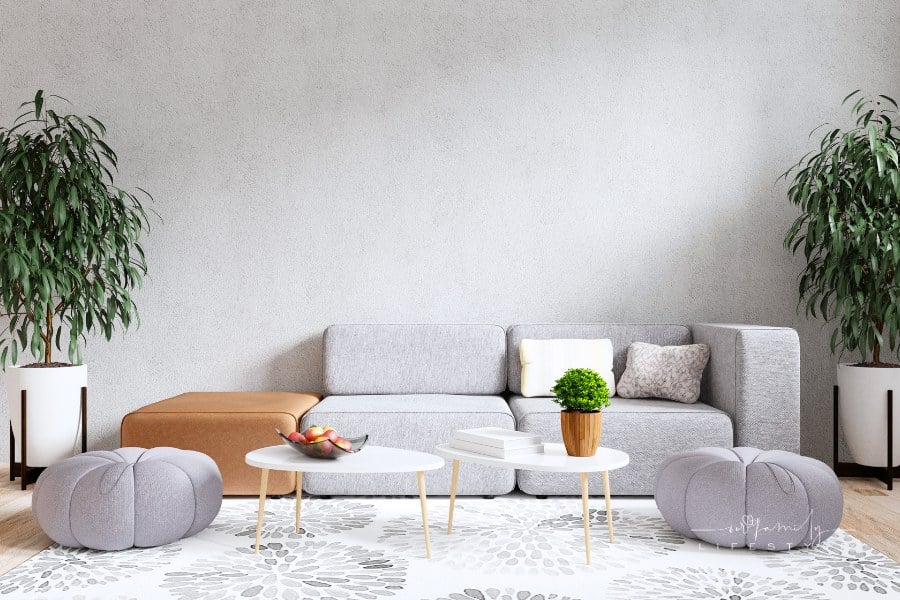 Modern Living Room Interior with Gray Sofa Against a Concrete Wall