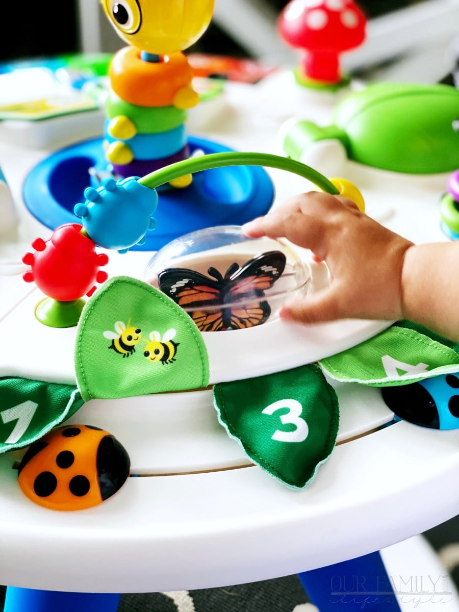 Baby Einstein Around We Grow