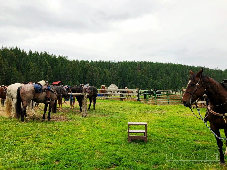 Bar W Guest Ranch Montana adventure