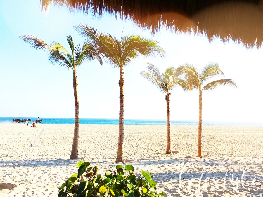 beachside at Holiday Inn Los Cabos all inclusive