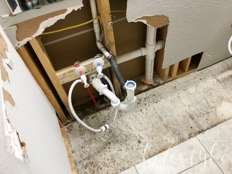 black mold remediation service