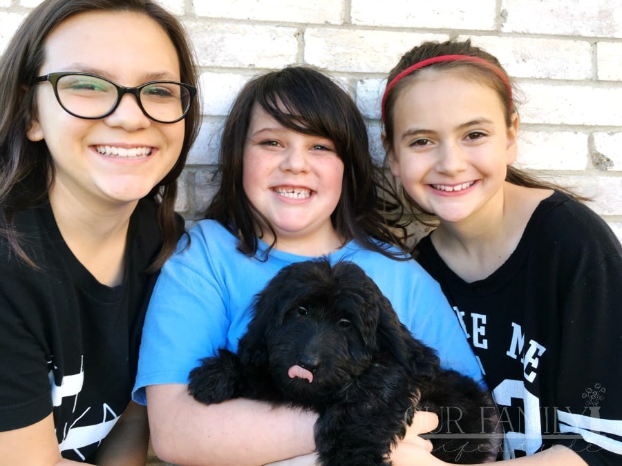 aspiring veterinarians