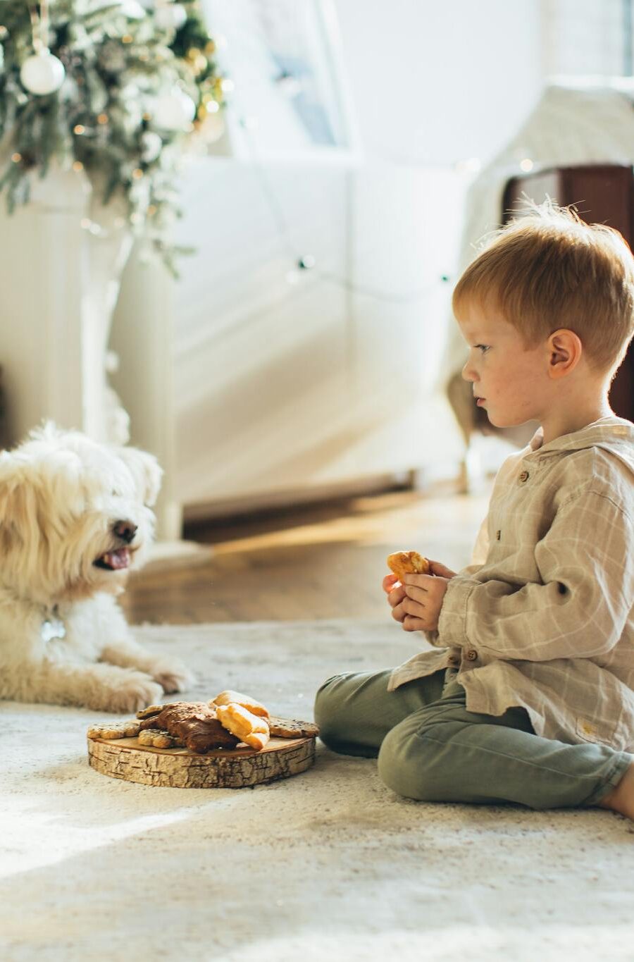 Child and dog enjoying Christmas together indoors next to a beautifully decorated tree.