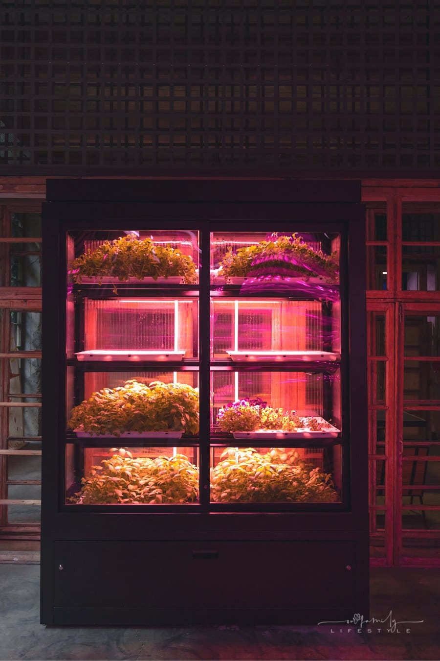 hydroponic grow light system in modern apartment