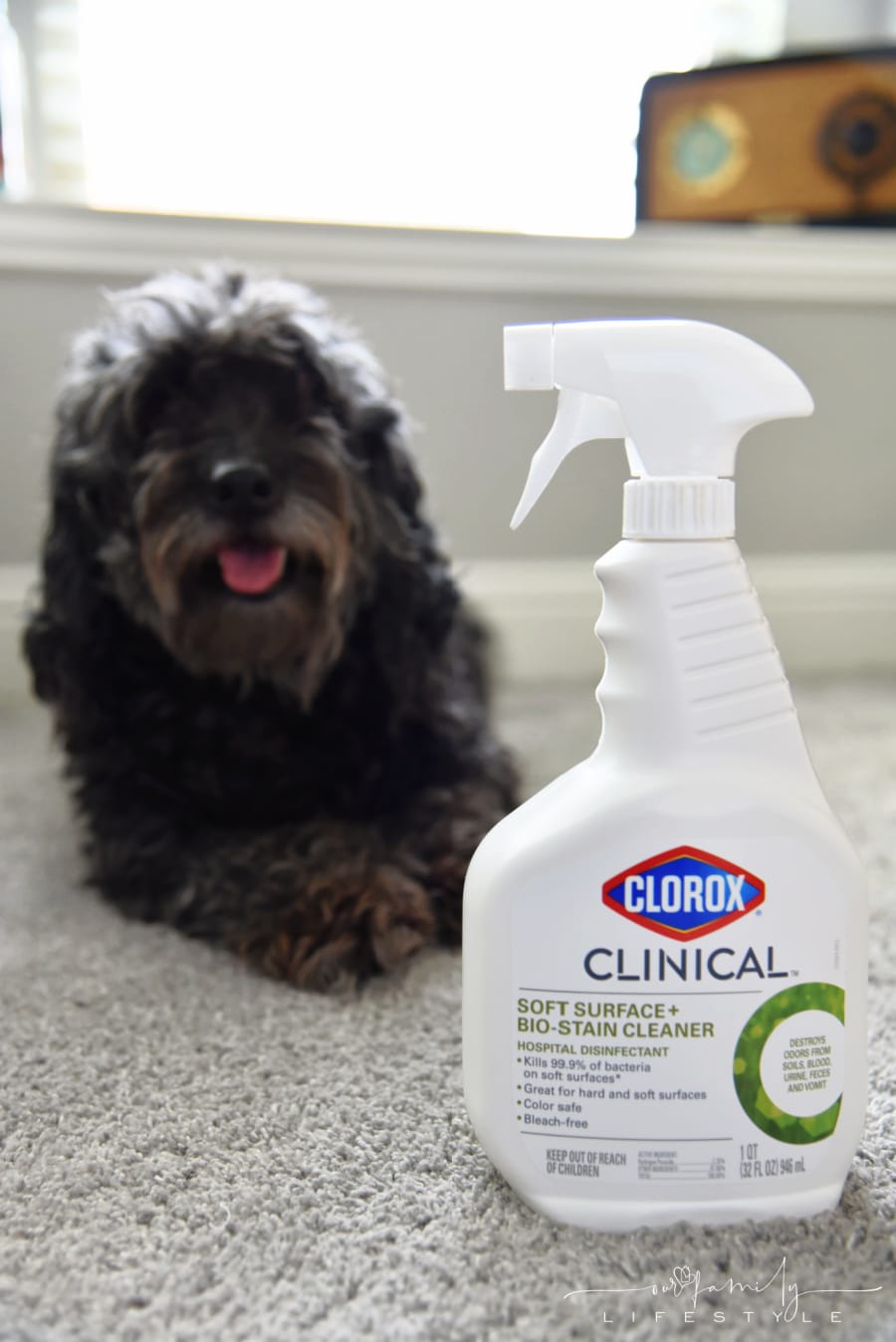 Clorox Clinical Soft Surface + Bio Stain Cleaner for carpets