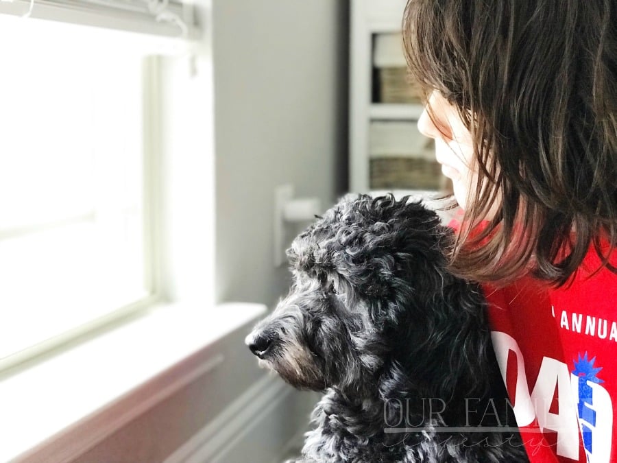 Become a Veterinarian Camp Contest