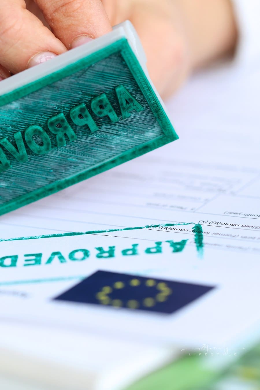 visa application approved stamp