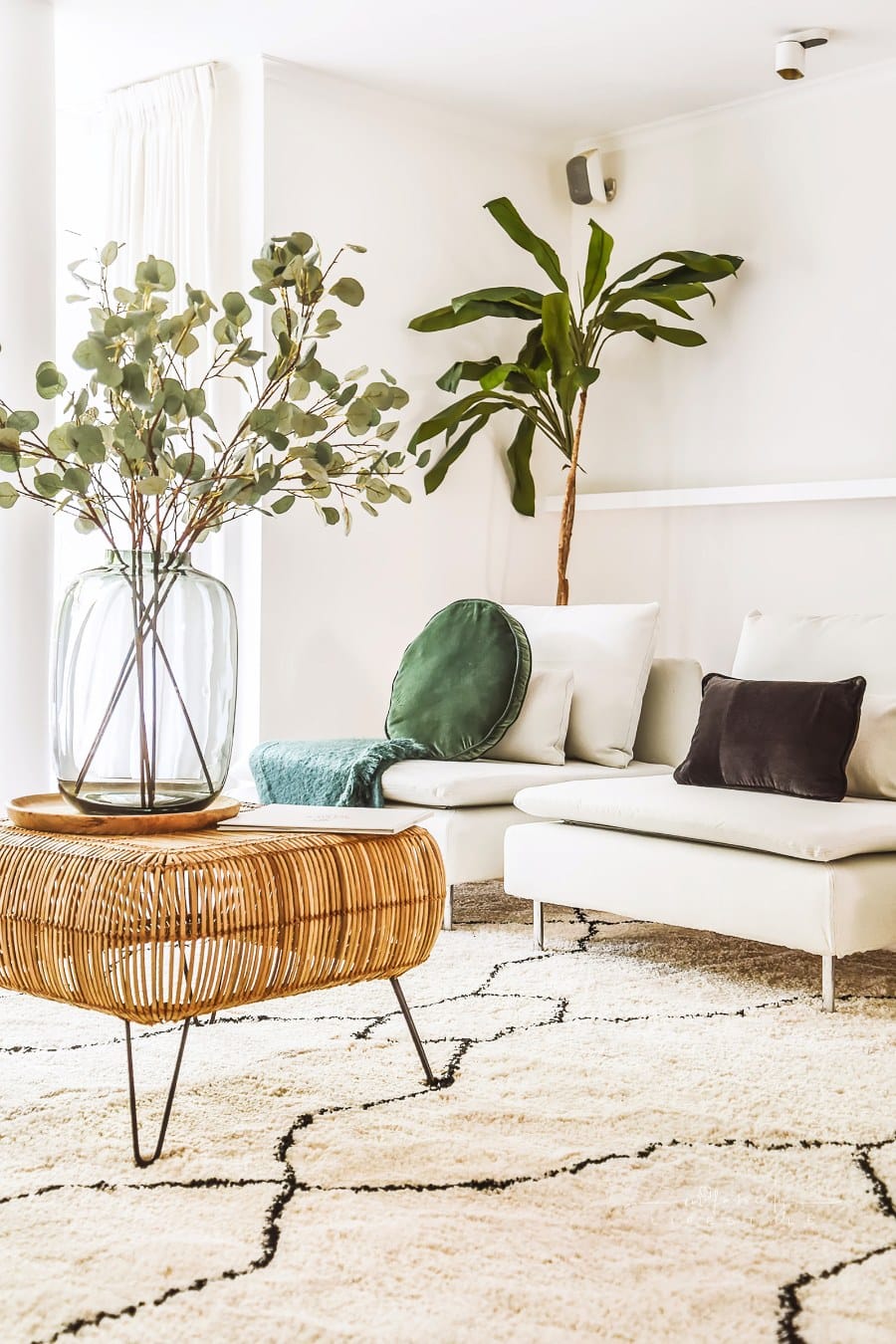bright living room in a modern house with a faux tree and plants