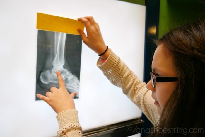 Creative Discovery Museum