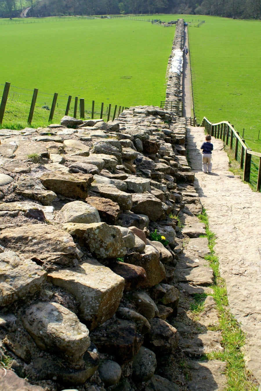 Hadrian's wall Northumberland
