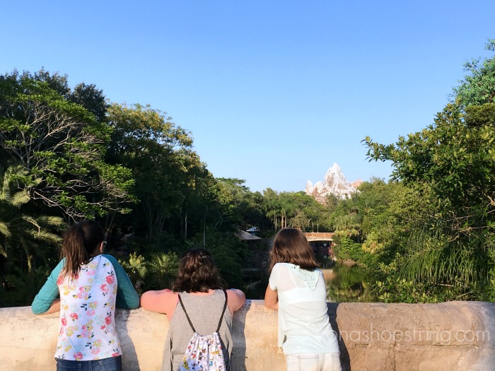 Expedition Everest at Animal Kingdom