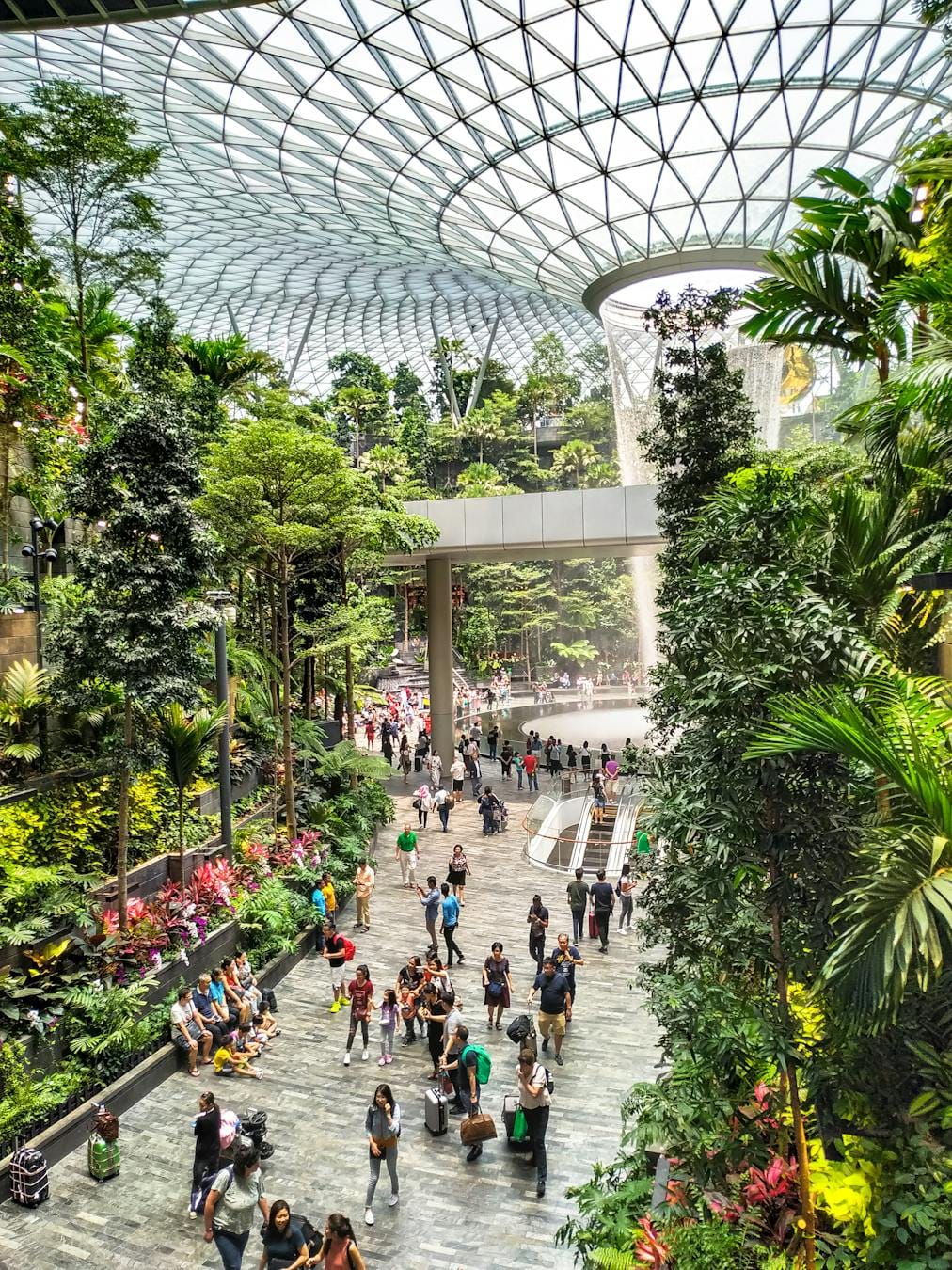 Explore the lush gardens and stunning indoor waterfall at Singapore's Jewel Changi Airport.