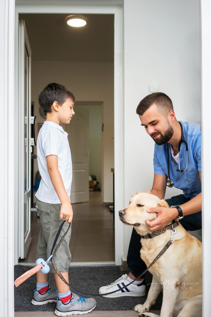 Veterinarian with dog and young boy in office