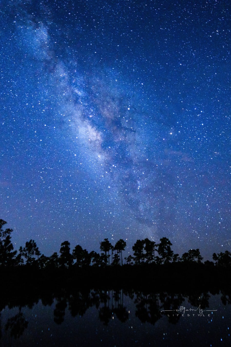 Constellations at Everglades National Park
