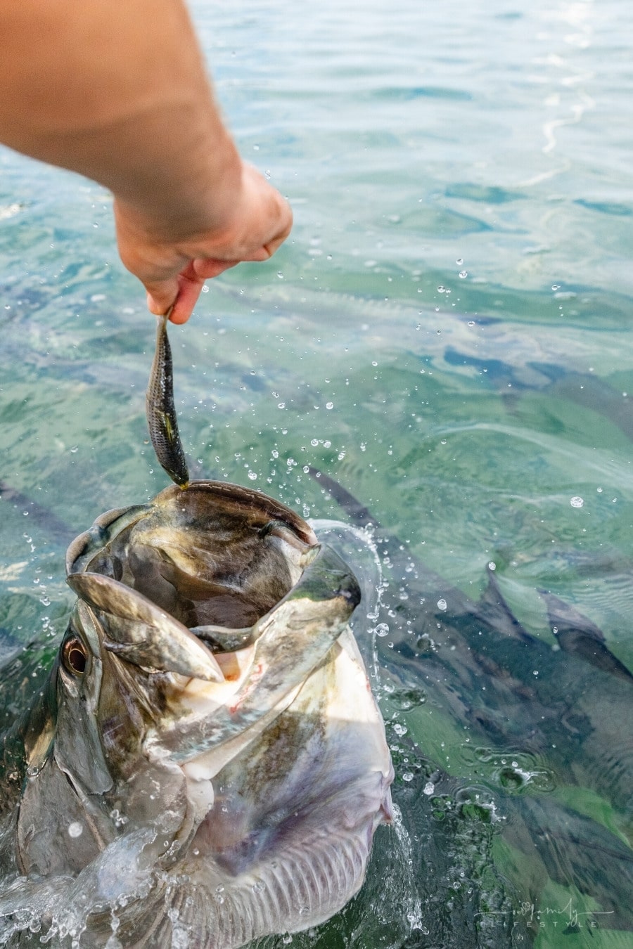 Florida Fishing Spots That Are Worth Visiting, According to Locals