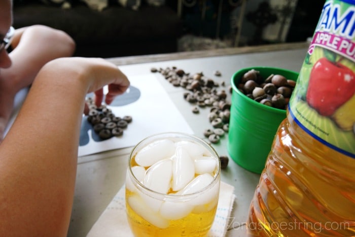 frolic-in-fall-with-Tampico-beverages