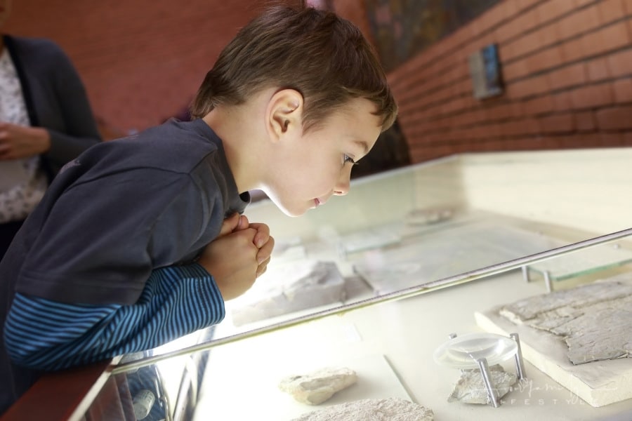 4 Fun and Interesting Ideas For a Night Out With Your Kids