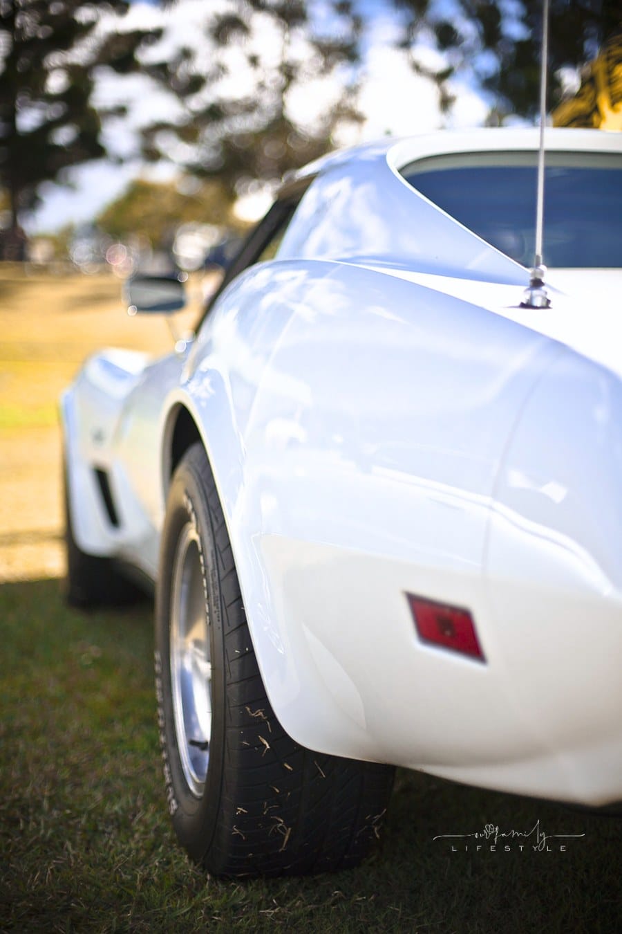back quarter panel of white Chevrolet Corvette