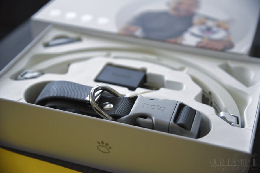 Halo Collar for dogs