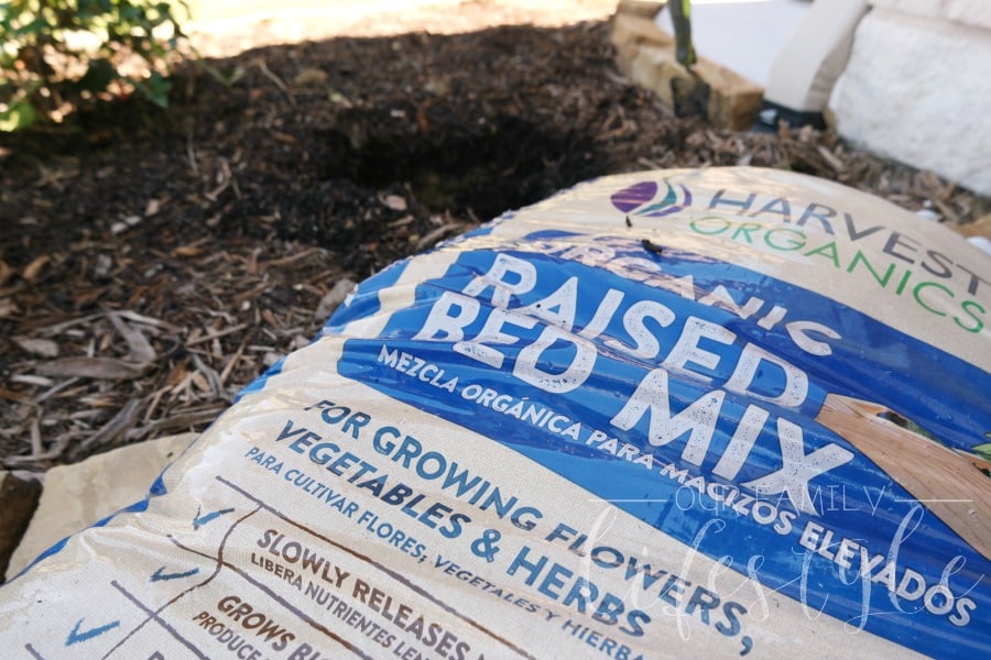 Harvest Organics raised bed mix