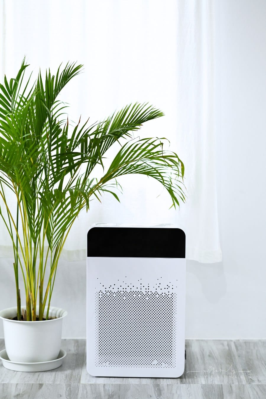 White modern air purifier on floor in bright living room for filter and cleaning removing dust