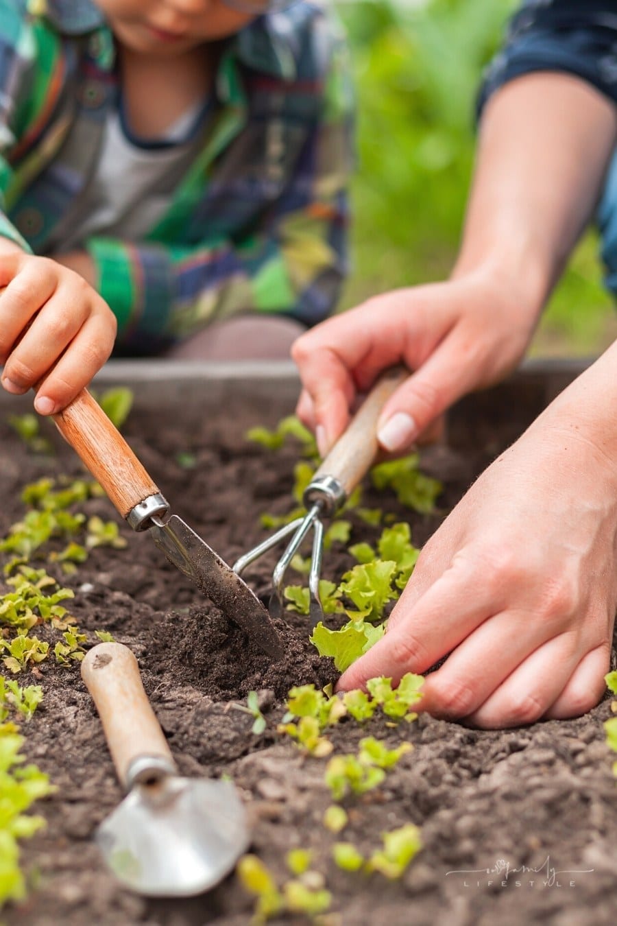 child and mother gardening in vegetable garden