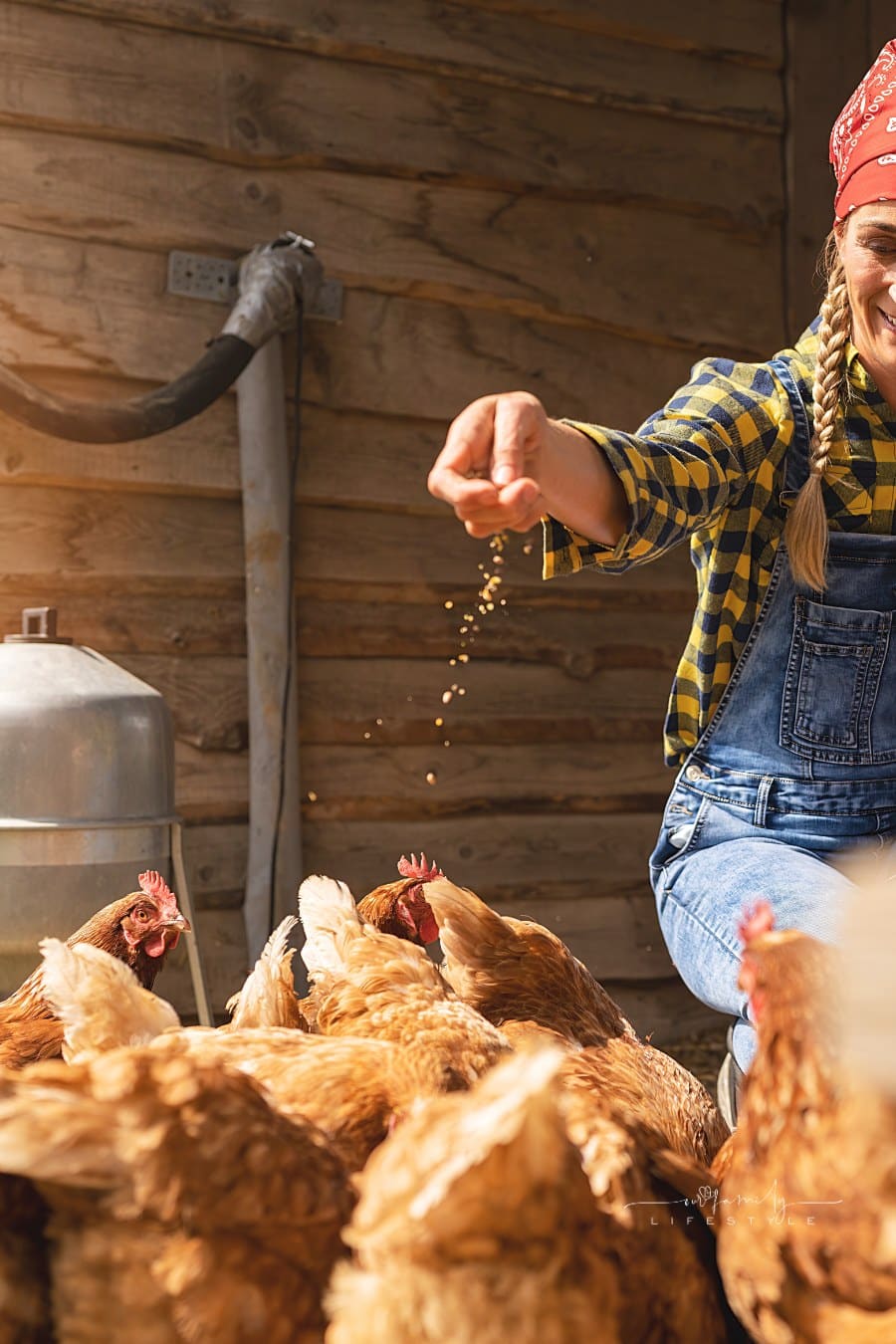 Happy woman chicken farmer with bucket feeding chickens at the farm