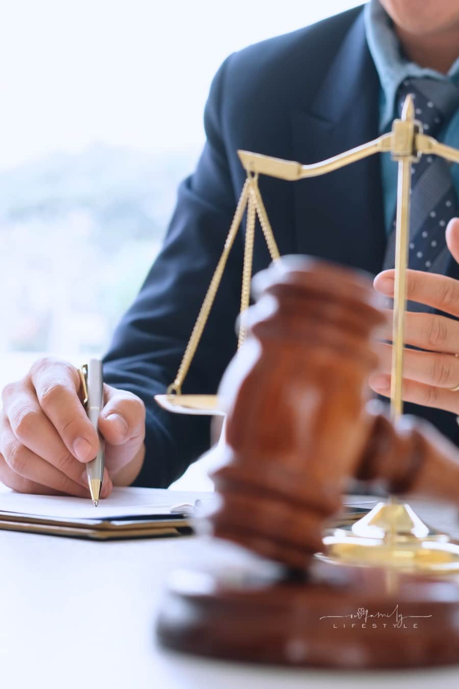 Lawyer Meeting with Female Client