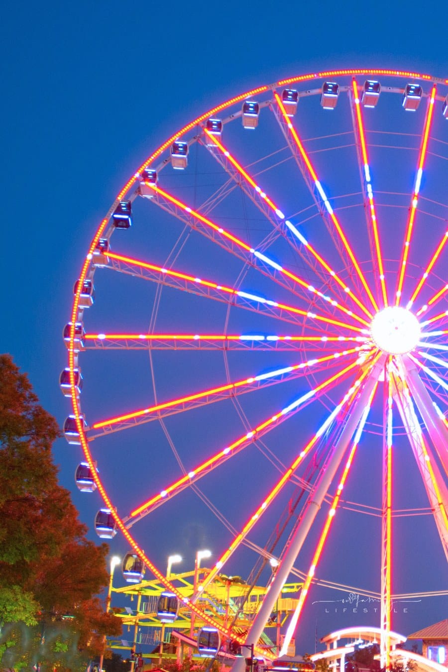 Ferris Wheel-Pigeon Forge Tennessee
