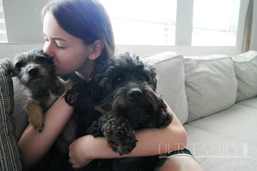 innate love for animals