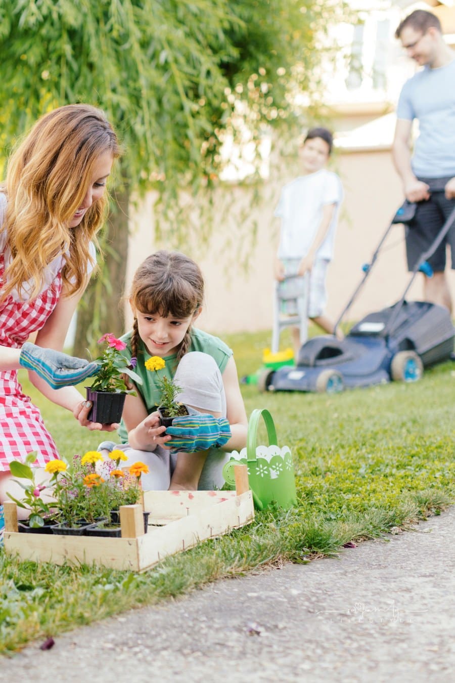 Family Doing Backyard gadening and mowing