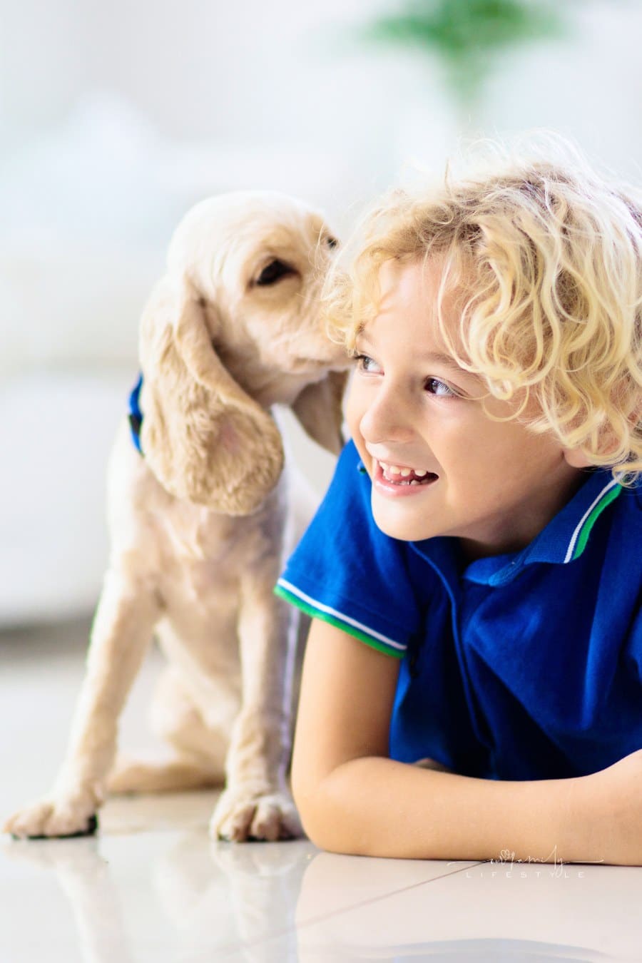 Child playing with dog. Kids play with puppy.