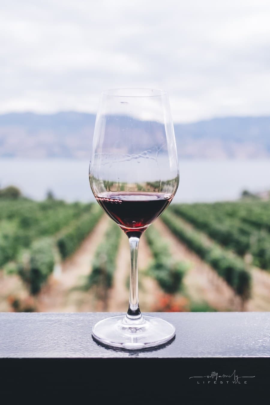 wine glass with background of winery