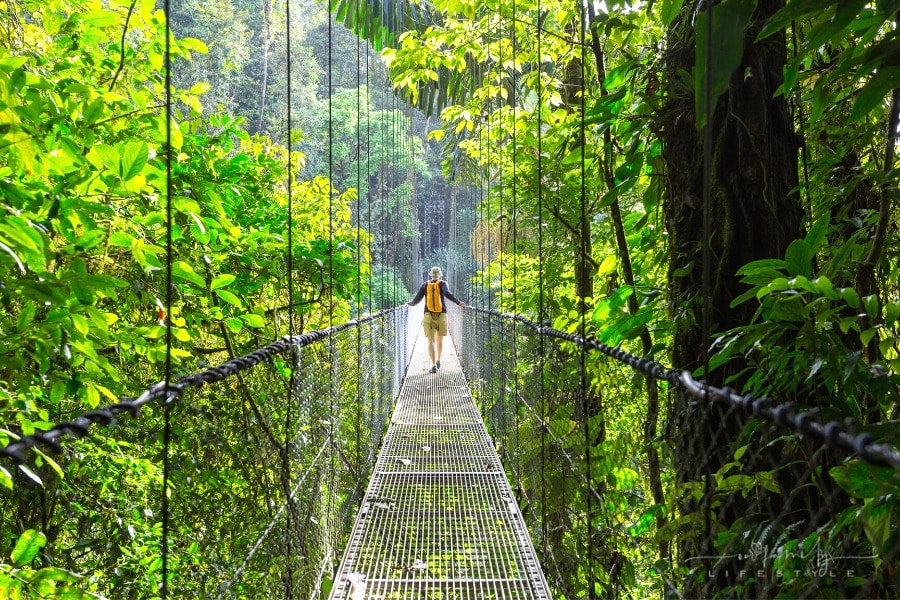 man hiking across bridge in Costa Rica jungle