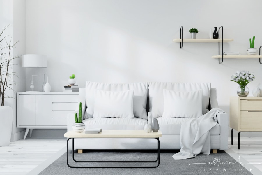 modern Scandinavian living room