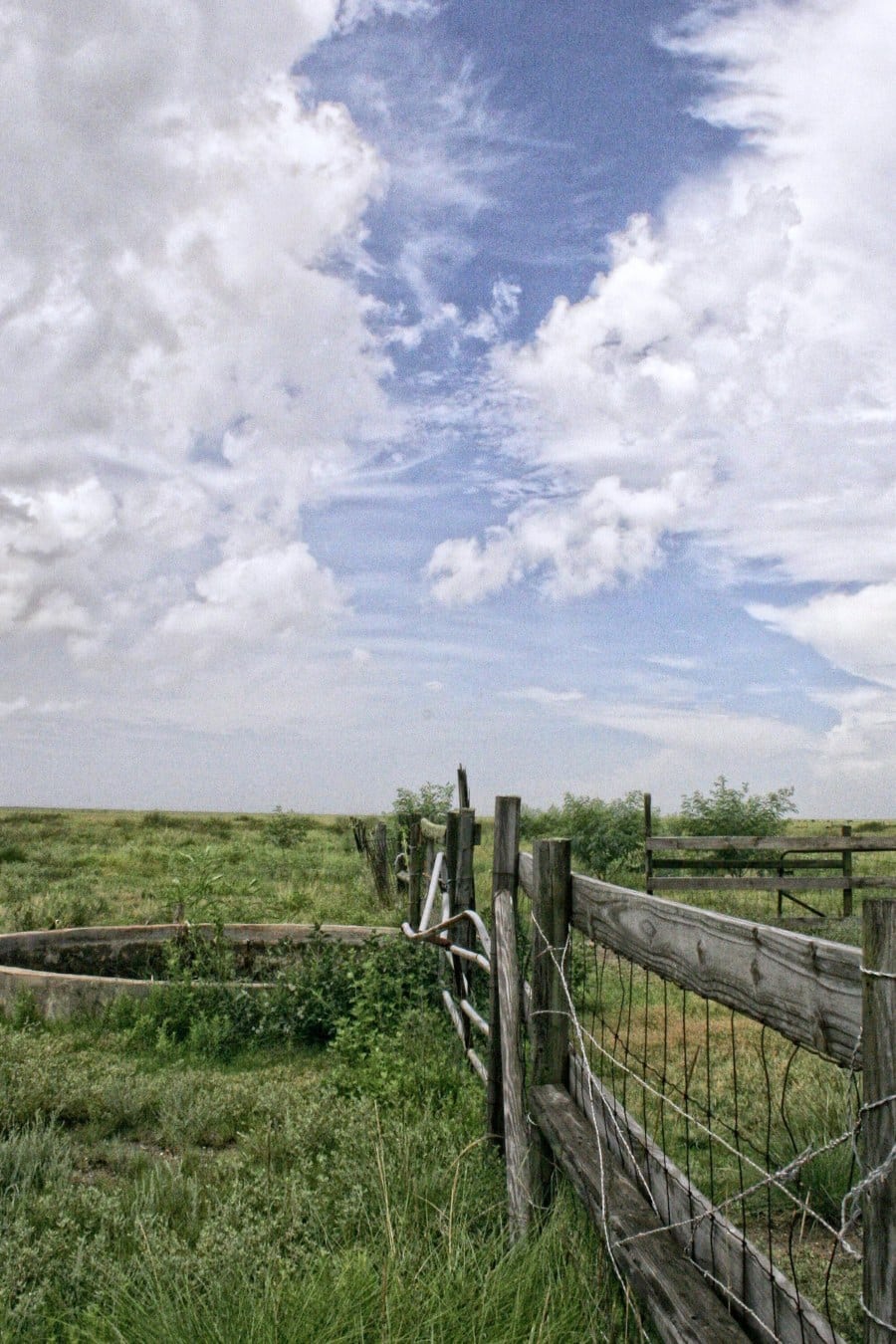 Coastal Plains Ranch
