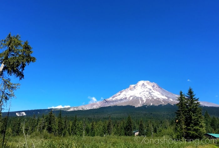 Mt Hood Territory Oregon