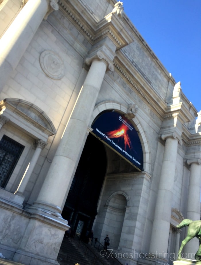 American Museum of Natural History