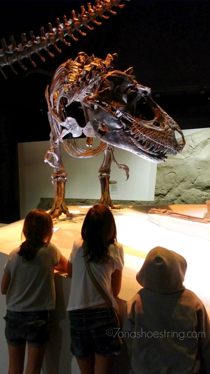 Museum of Natural Science Paleontology