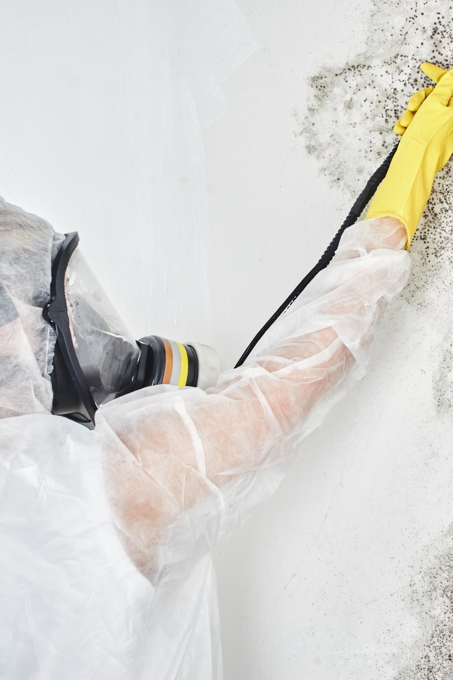 Pay Attention To These 4 Things If You Noticed Mold In Your Home